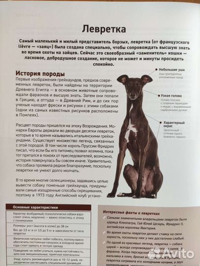 Бол. иллюстр. энц. Все породы собак