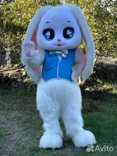 Поздравления от зайки