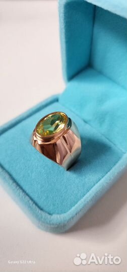 Золотое кольцо СССР 583