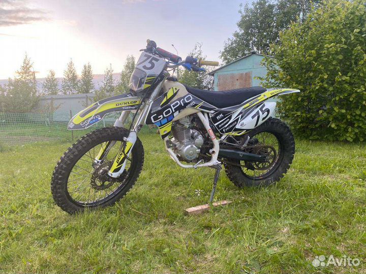 Avantis fx 250