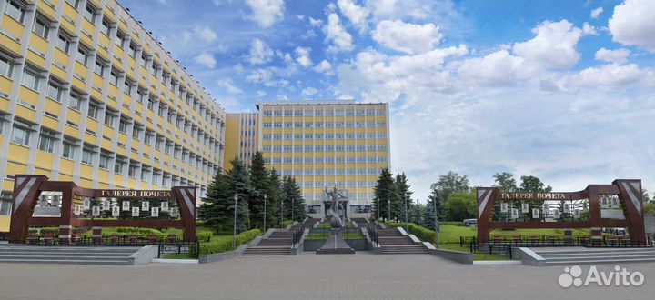 Регулировщик рэа и П