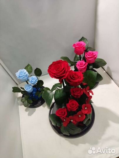 Роза в колбе