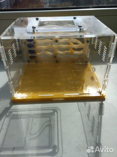 Муравьинная ферма