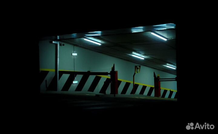 Услуги фотографа