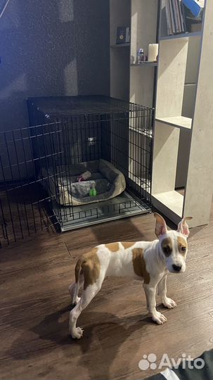 Продам клетку для животных