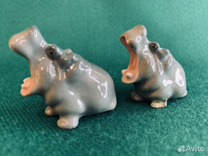 Пара мини бегемотов лфз