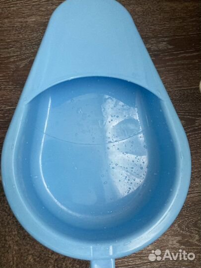 Утка медицинская