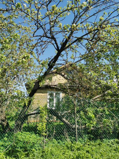 Участок 12 сот. (ИЖС)