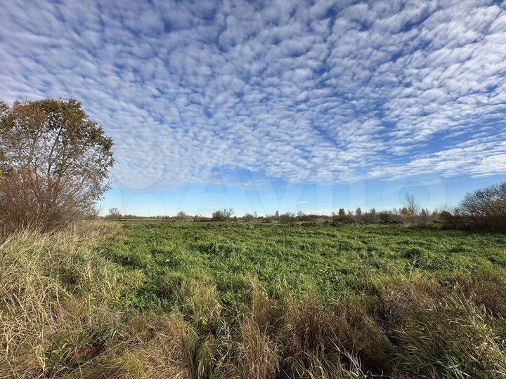 Участок 6,8 сот. (СНТ, ДНП)