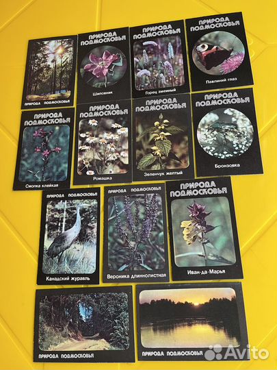 Календарики Соловьи СССР, Природа Подмосковья