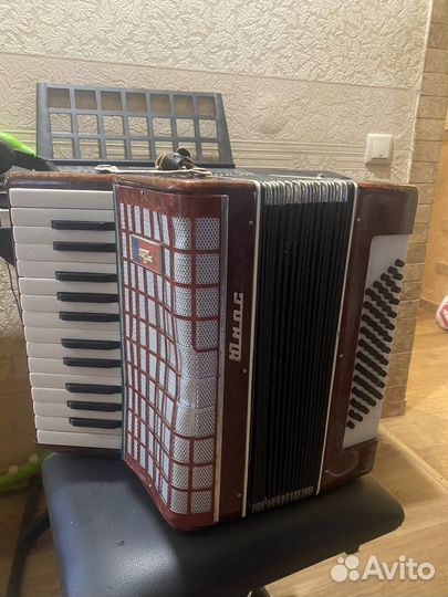 Аккордеон