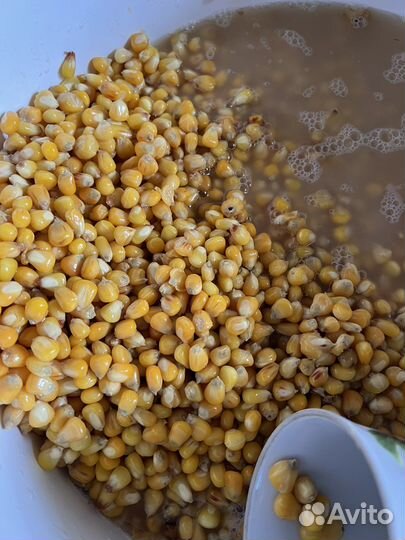 Кукуруза ферментированная