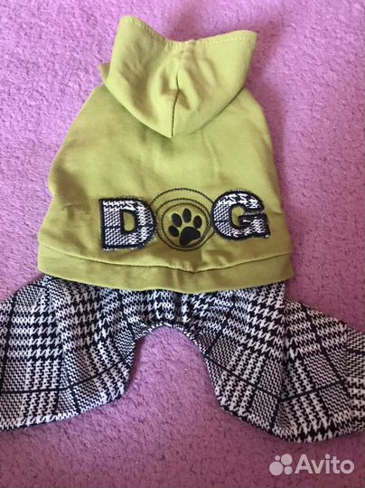 Одежда для маленьких собак