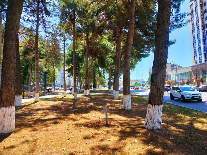 2-к. квартира, 60,5 м², 1/9 эт.