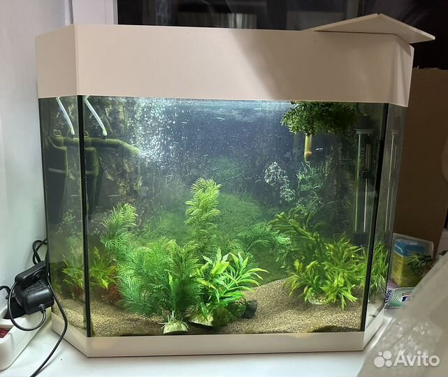 Аквариум с рыбками