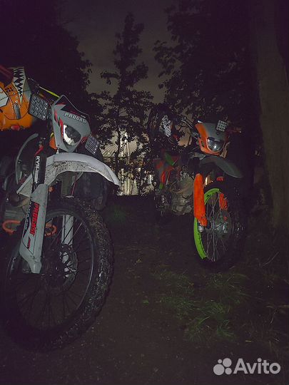 Продажа / обмен progasi palma 250