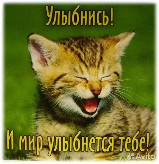 Садж чугунный