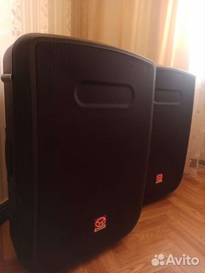Концертные акустические колонки