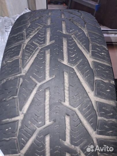 Tigar Ice 195/55 R15