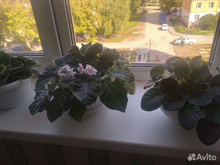 Женское счастье