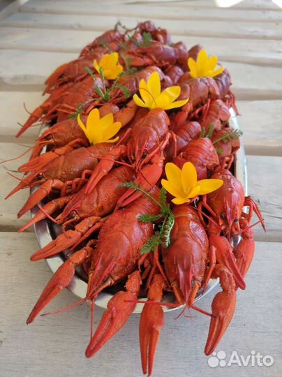 Раки Живые и Варёные