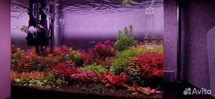 Аквариум в комплекте