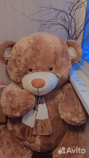 Большие плюшевые мишки