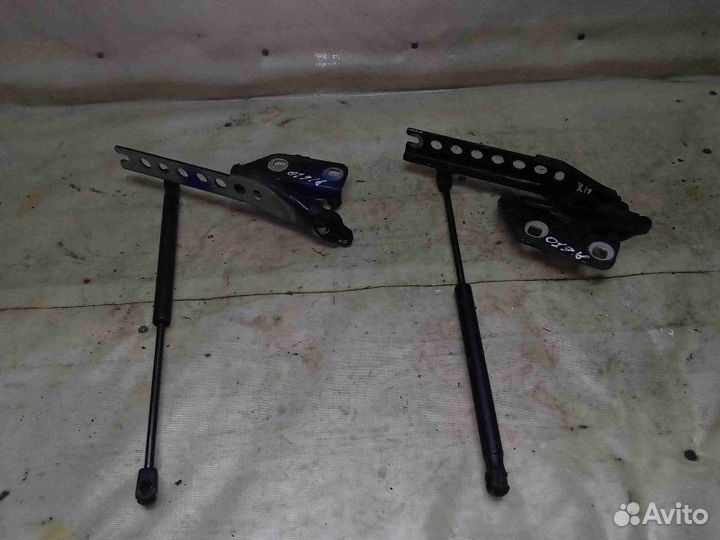 Петля капота Audi A8 D3 (4E) 2009