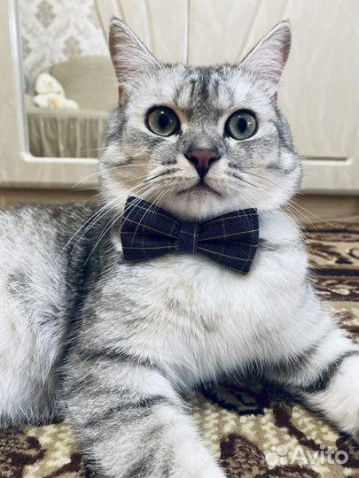 Котик для вязки