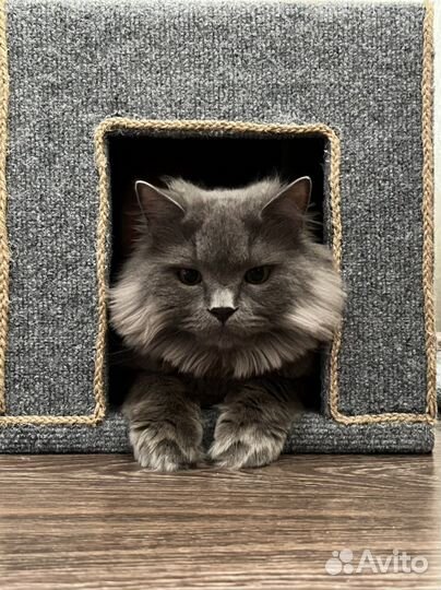 Домик когтеточка