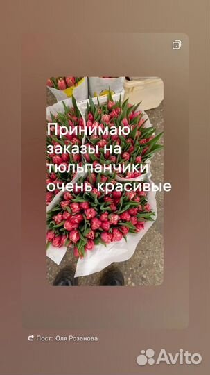 Тюльпаны к 8 марта букеты розница