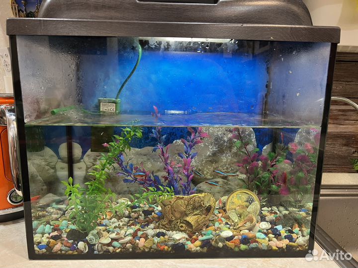 Аквариум