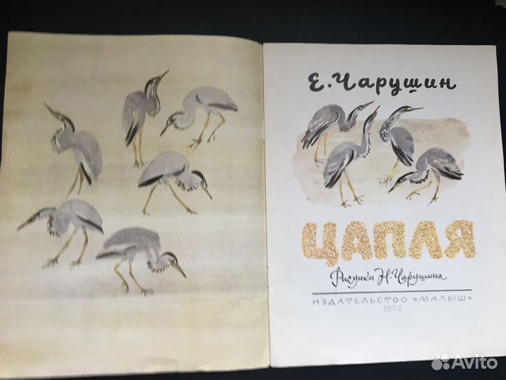 Цапля, Чарушин, 1976