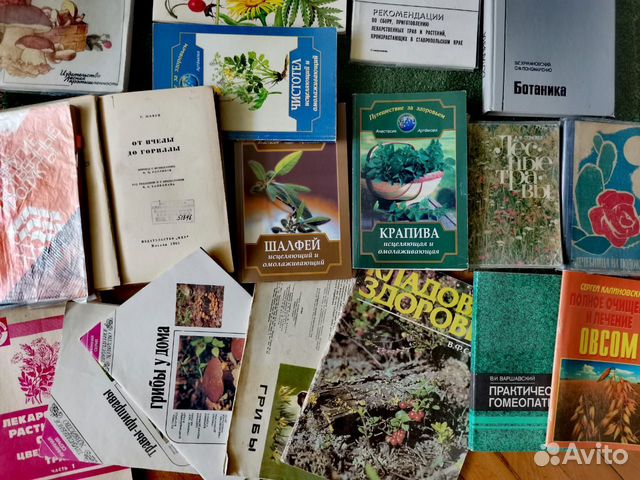 Книги про лекарственные растения. Оптом. Цена договорная... купить в ...