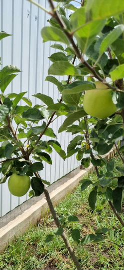 Дом 122 м² на участке 6 сот.