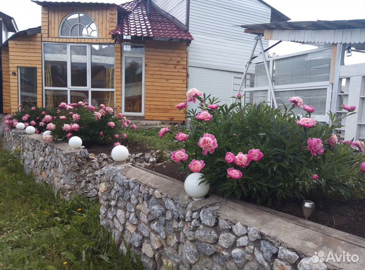 Отдых баня Беседка