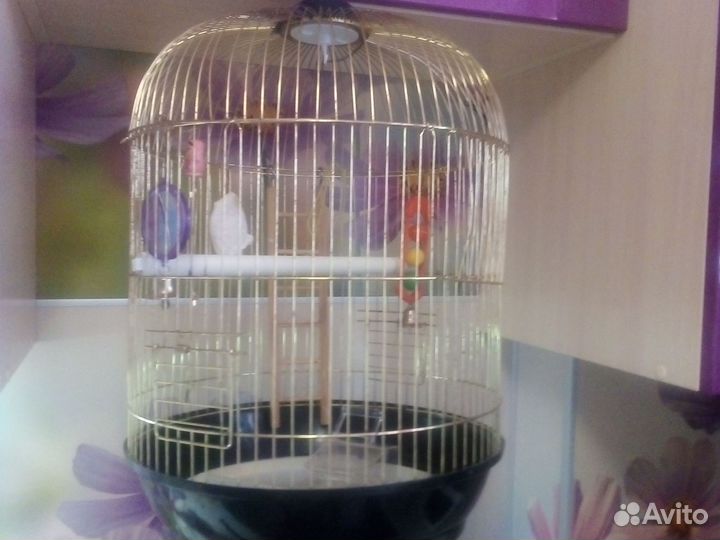 Клетка для попугая