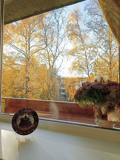 1-к. квартира, 31 м², 3/5 эт.