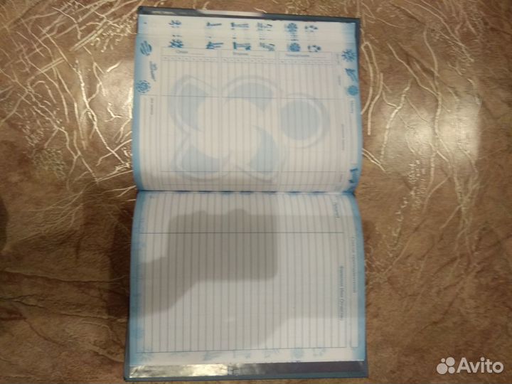 Дневник школьника