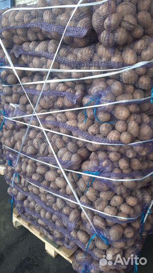 Картофель, морковь, виноград, кабачки для животных