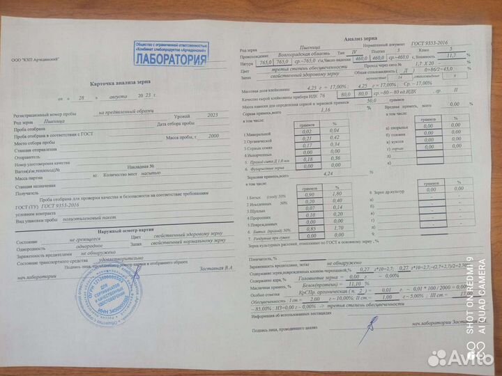 Пшеница озимая