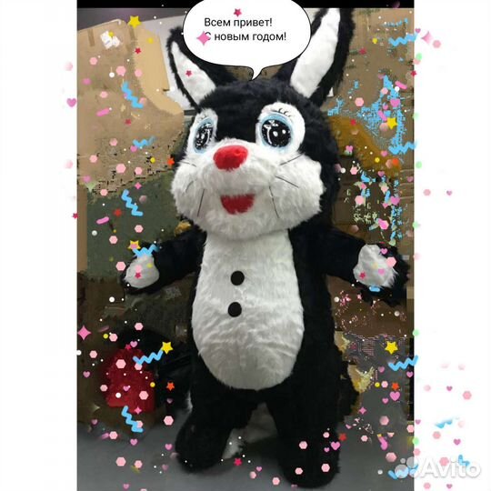 Поздравление