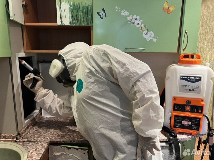 Уничтожение клопов, тараканов, крыс. Дезинфекция