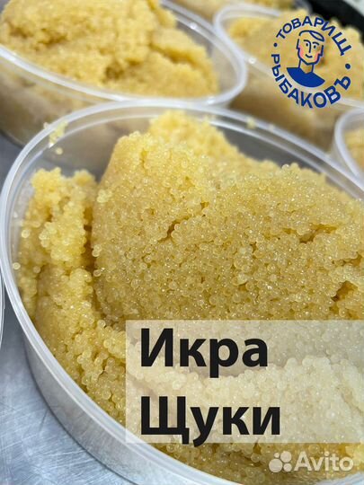 Рыба вобла и икра