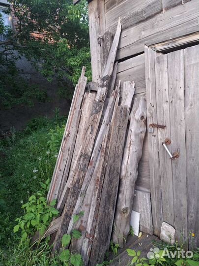 Отдам бесплатно
