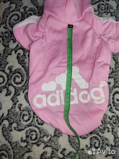 Одежда для кошки сфинкс или маленькой собачки