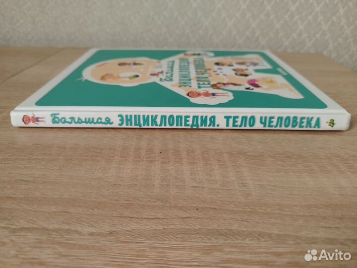 Детская Большая энциклопедия тело человека clever