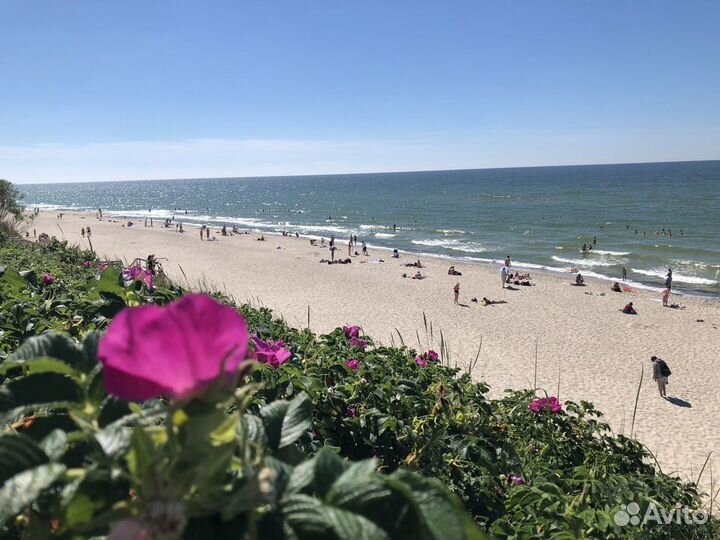 Экскурсии. Калининградская область