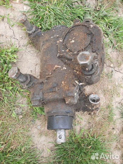 Гур на газель или соболь