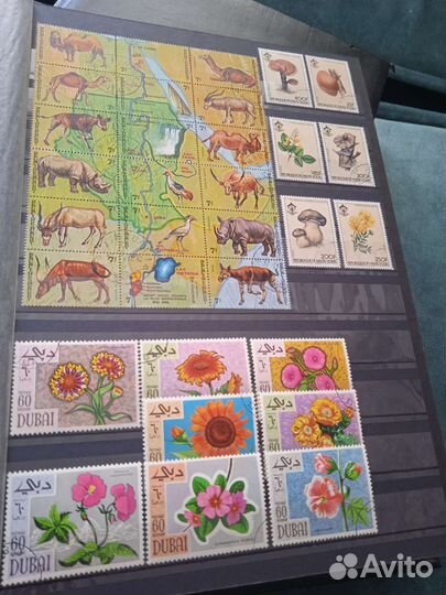 Огромная коллекция марок флора и фауна